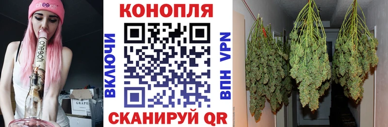 Купить наркотики сайты Курлово КОКАИН  APVP  ОМГ ОМГ tor  Конопля 