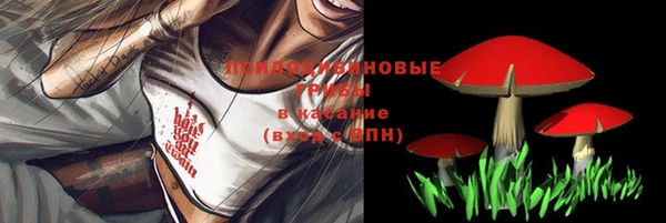 spice Алексин
