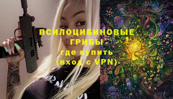 молекула духа Алексеевка