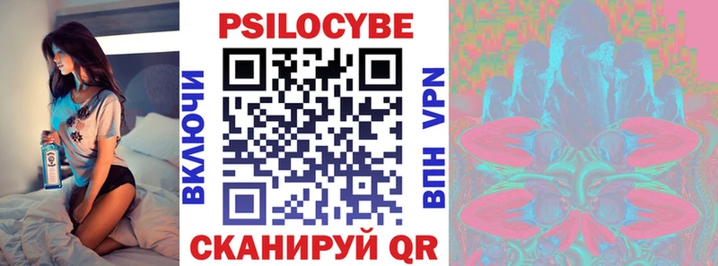 Псилоцибиновые грибы Psilocybine cubensis купить наркоту Курлово
